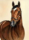 Thoroughbred, Equine Art - Barbaro