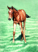 Mares and Foals, Equine Art - Billy