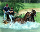 Carriage Driving, Equine Art - Splash