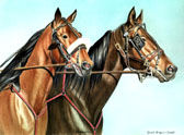 Standardbred, Equine Art - Stablemates